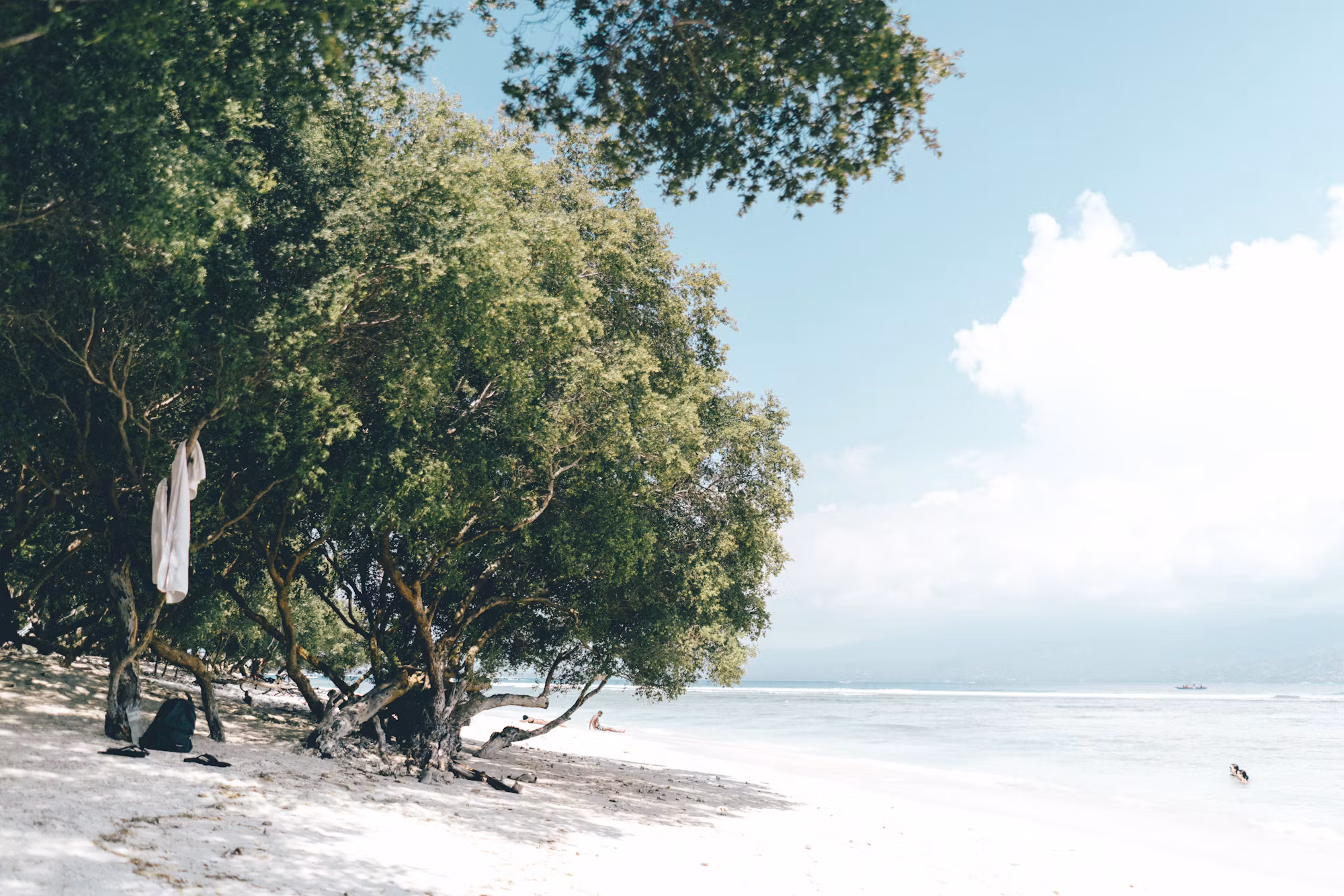Beneath the Waves: A Journey Through the World’s Coastal Treasures